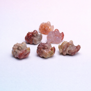 Rare Alashan Agate Mini Crocodile - Instinct