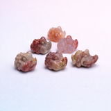 Rare Alashan Agate Mini Crocodile - Instinct