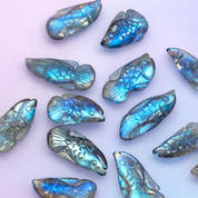 Mini Labradorite Bata Fish - Protection