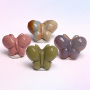 Rare Alashan Agate Mini Butterfly - Growth