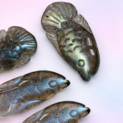Mini Labradorite Bata Fish - Protection
