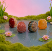 Rare Alashan Agate Mini Turtle Shell - Protection
