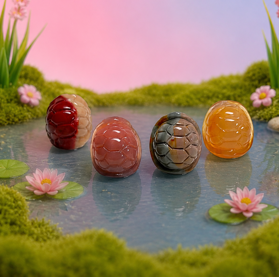 Rare Alashan Agate Mini Turtle Shell - Protection
