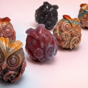 Rare Alashan Agate Mini Owl - Wisdom