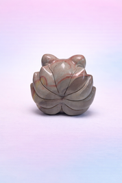Rare Alashan Agate Nine Tailed Fox - Wisdom