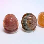 Rare Alashan Agate Mini Turtle Shells - Protection