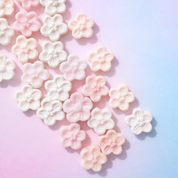 Queen Conch Flowers - Devine Feminine