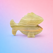 Afghan Jade Pirana - Adaptation
