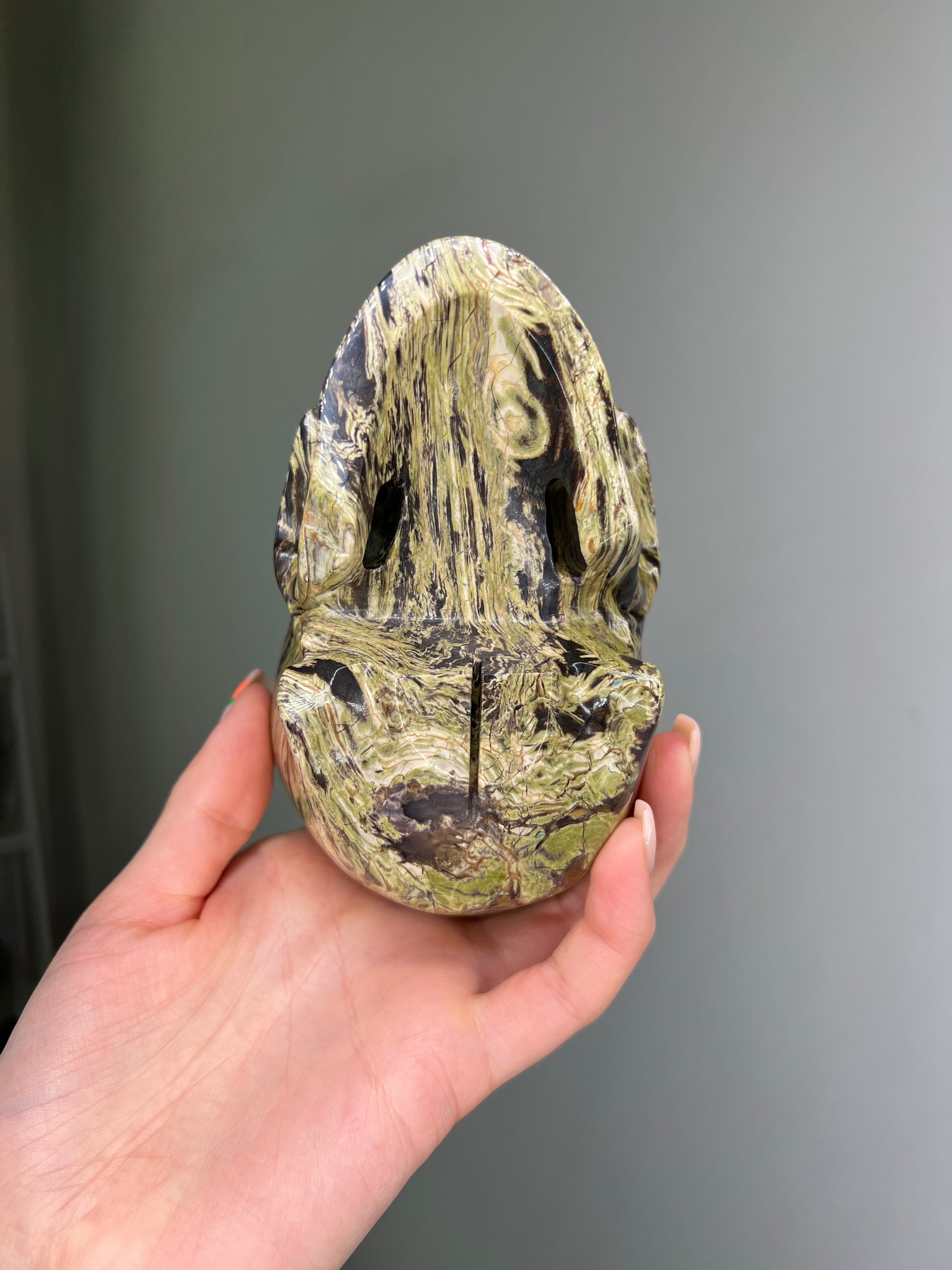 Petrified Wood Skull