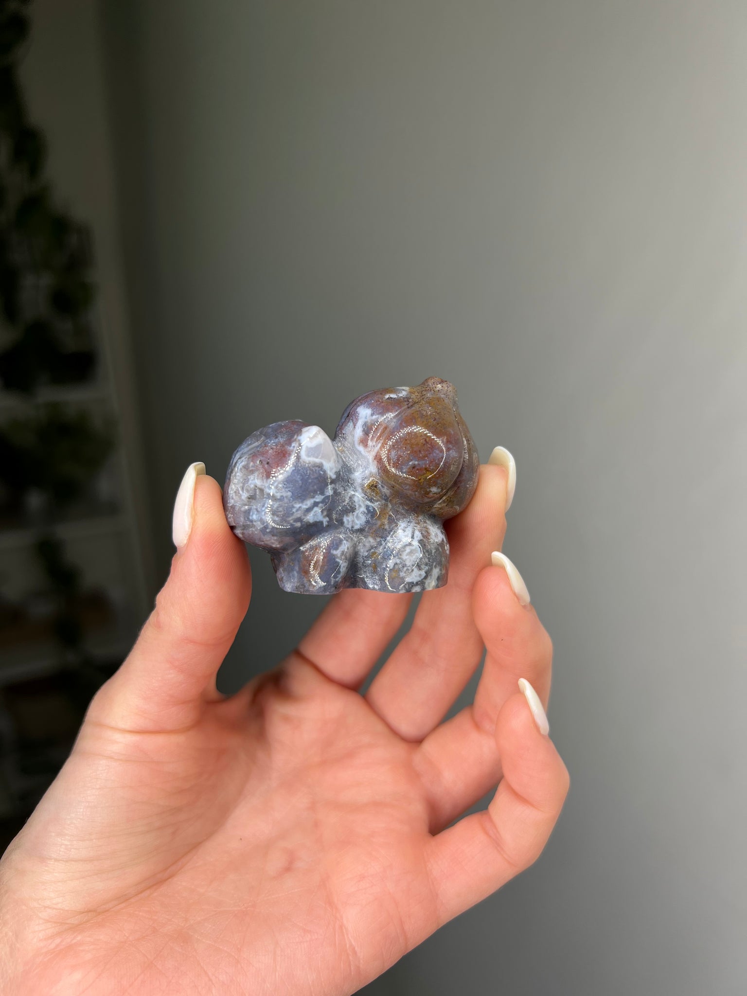 Ocean Jasper Bulbasaur