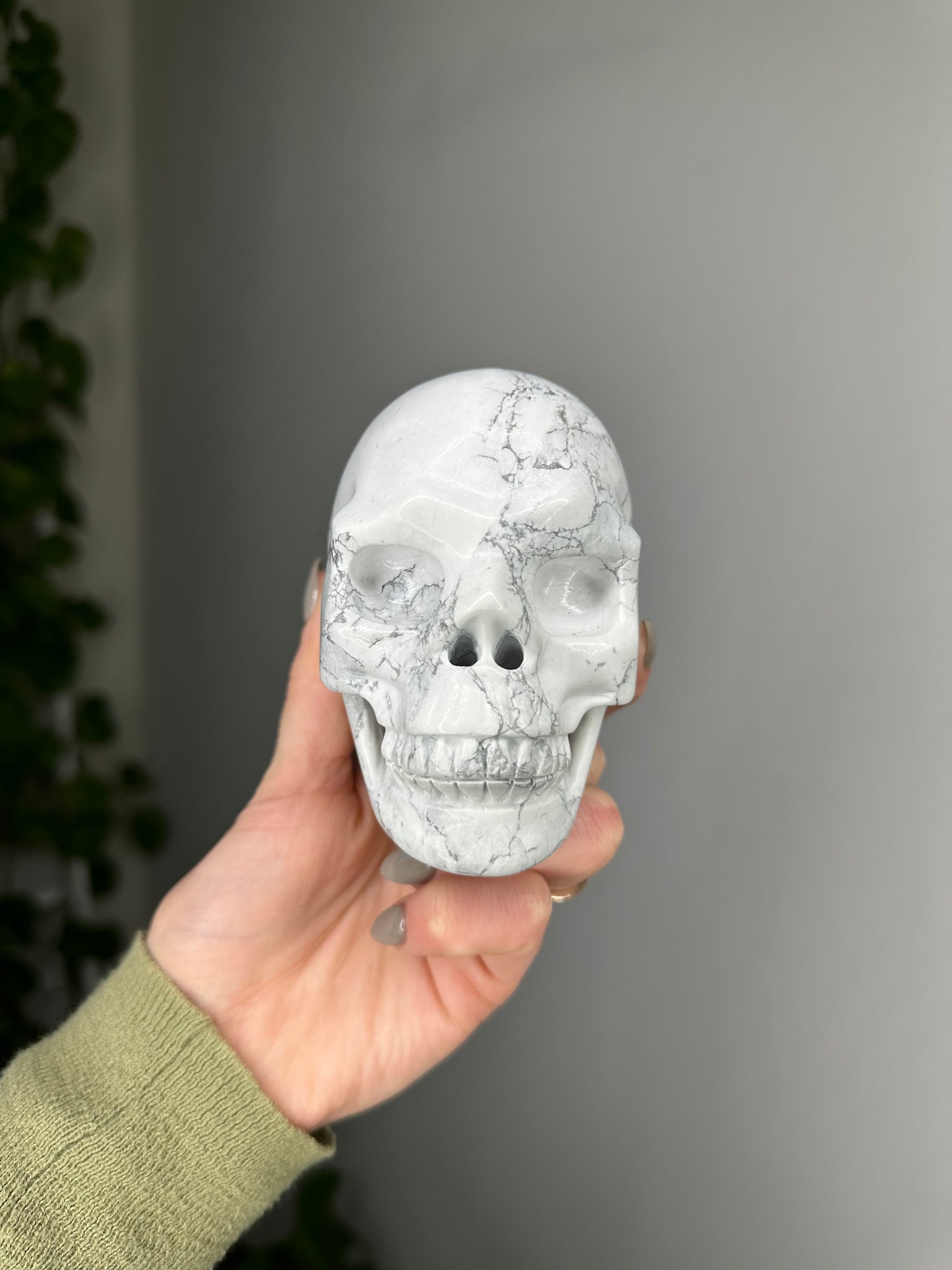 Howlite Skull
