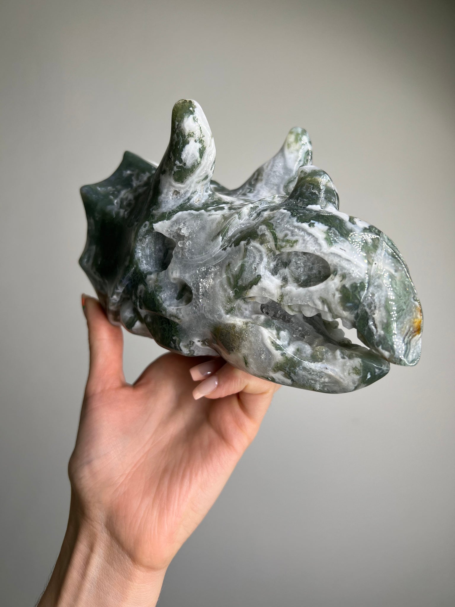 Moss Agate Triceratops Skull