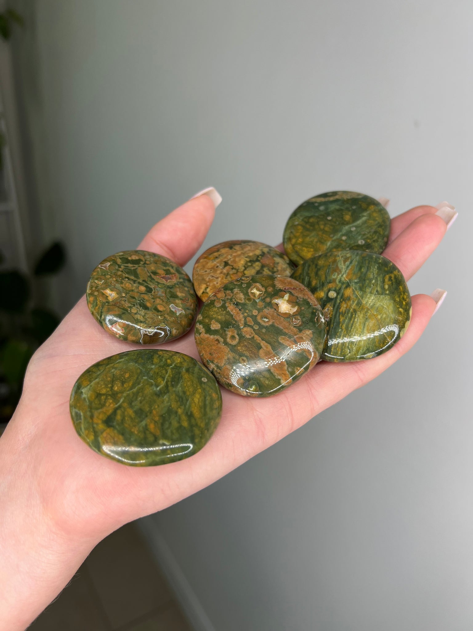 Rainforest Jasper Coin - Addon