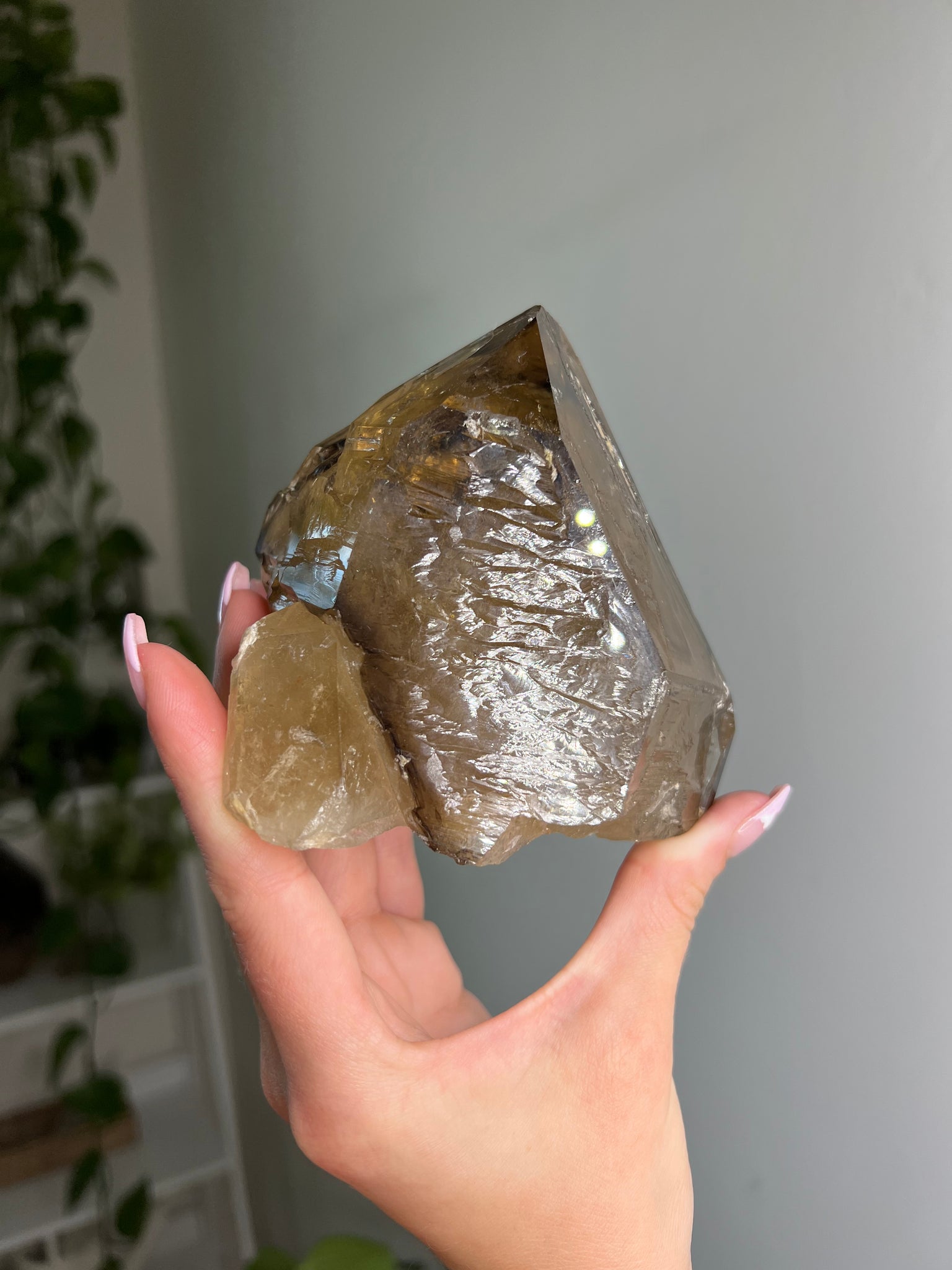 Natural Citrine Skeletal Elestial Quartz