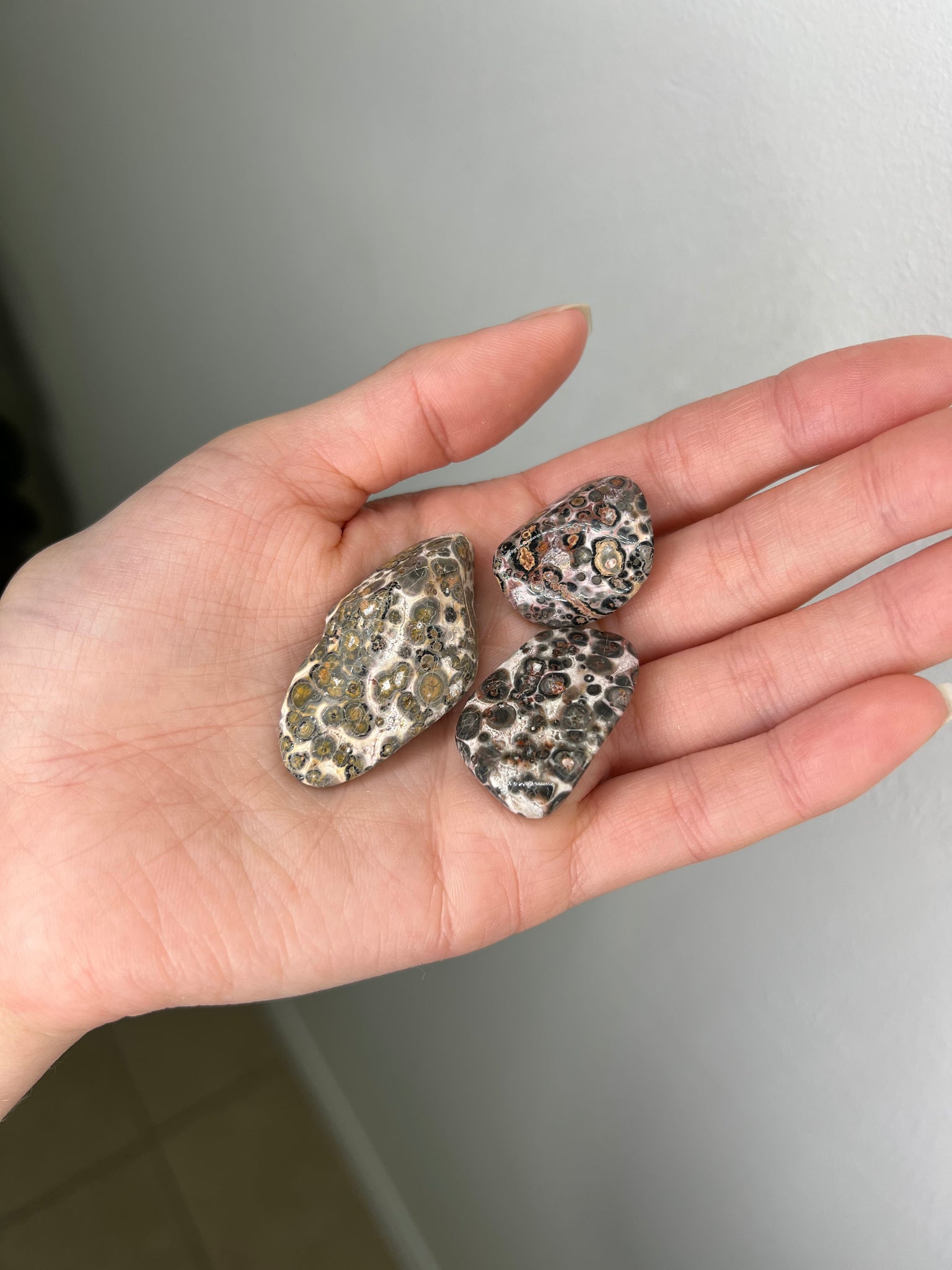 Leopard Skin Jasper Tumble - Add-on
