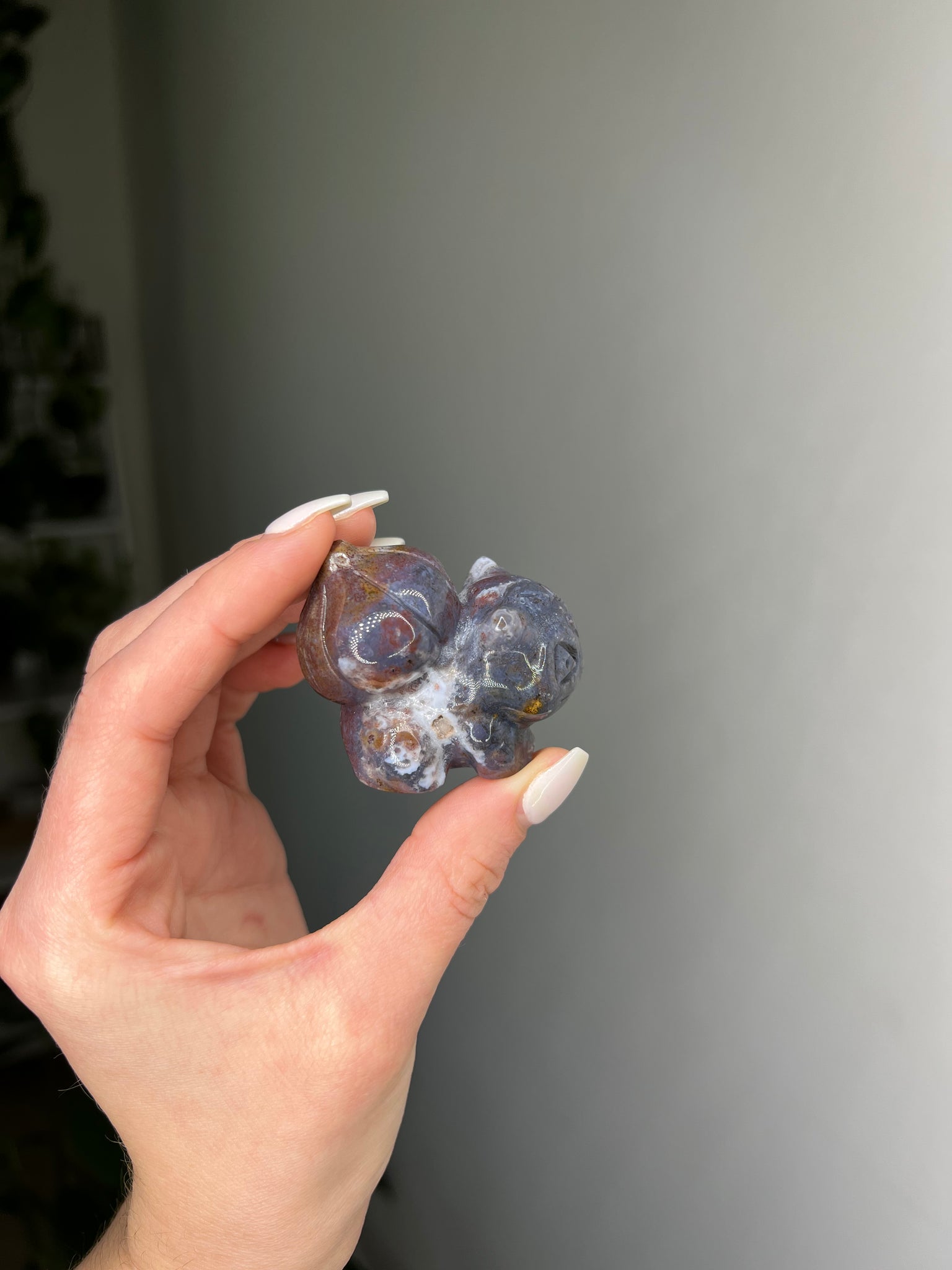 Ocean Jasper Bulbasaur