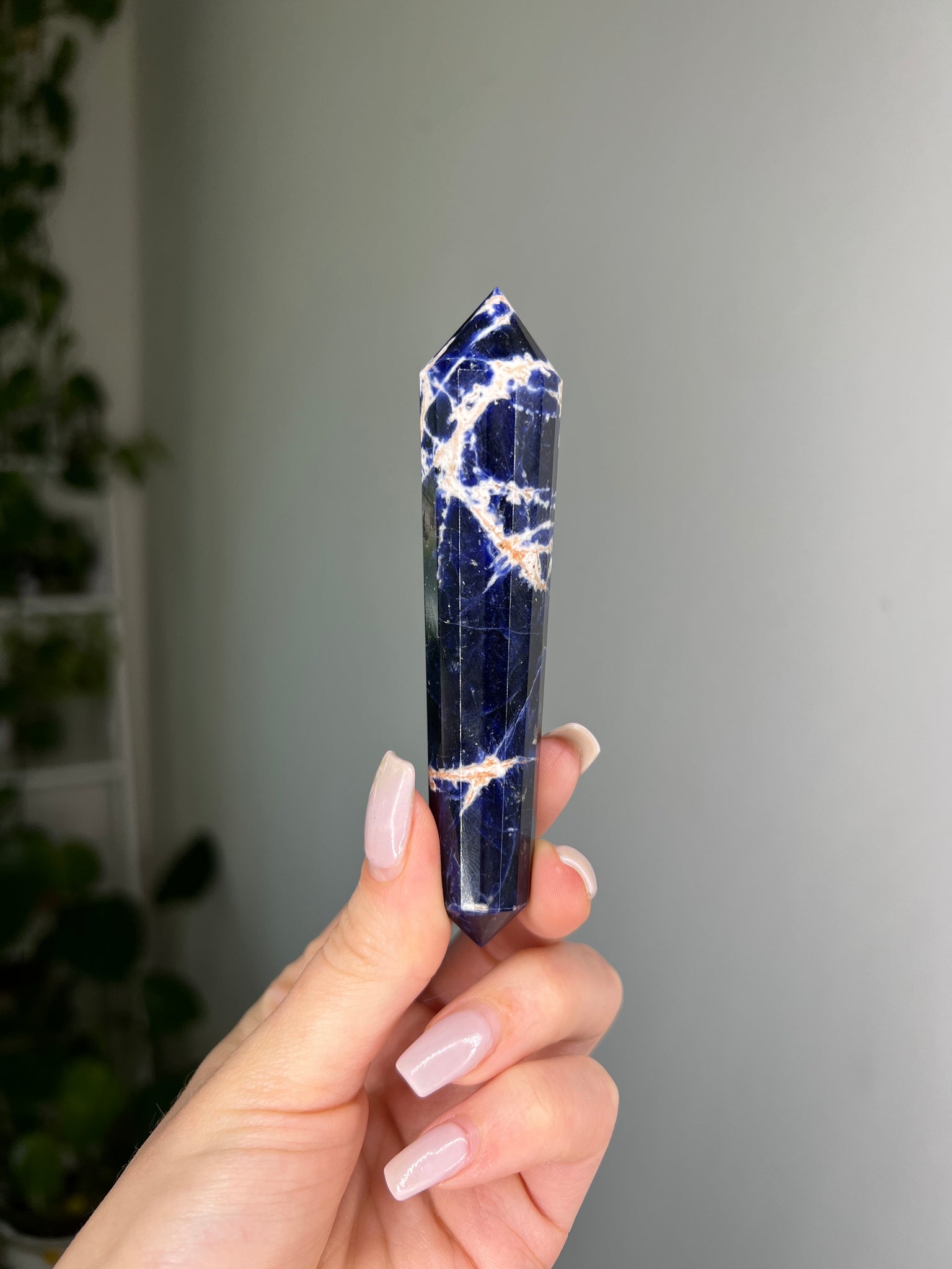 Sodalite Vogel Wand