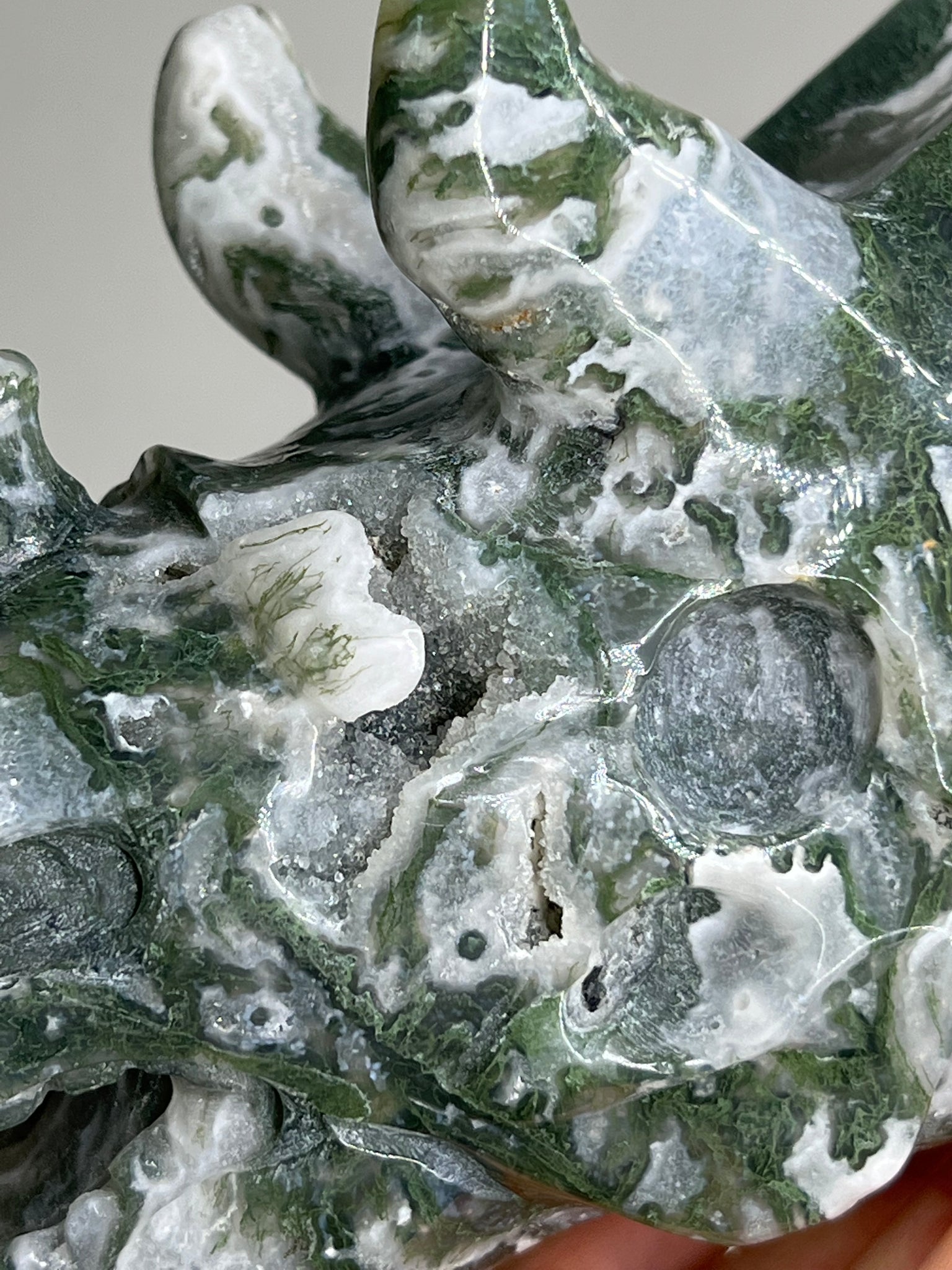 Moss Agate Triceratops Skull
