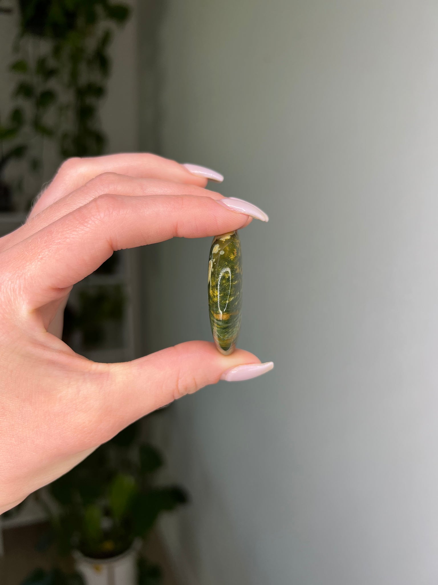 Rainforest Jasper Coin - Addon