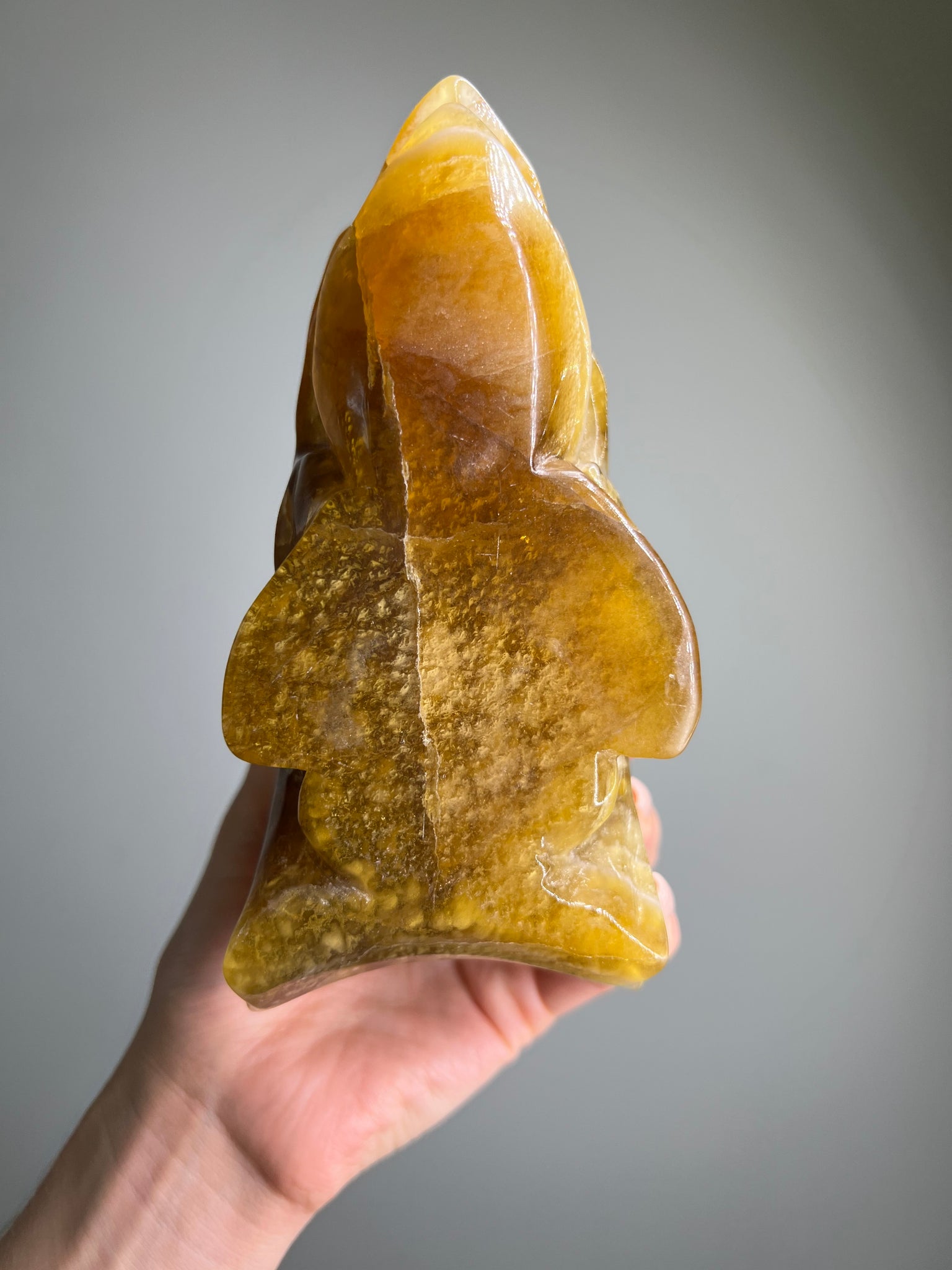 Yellow Fluorite Triceratops Skull