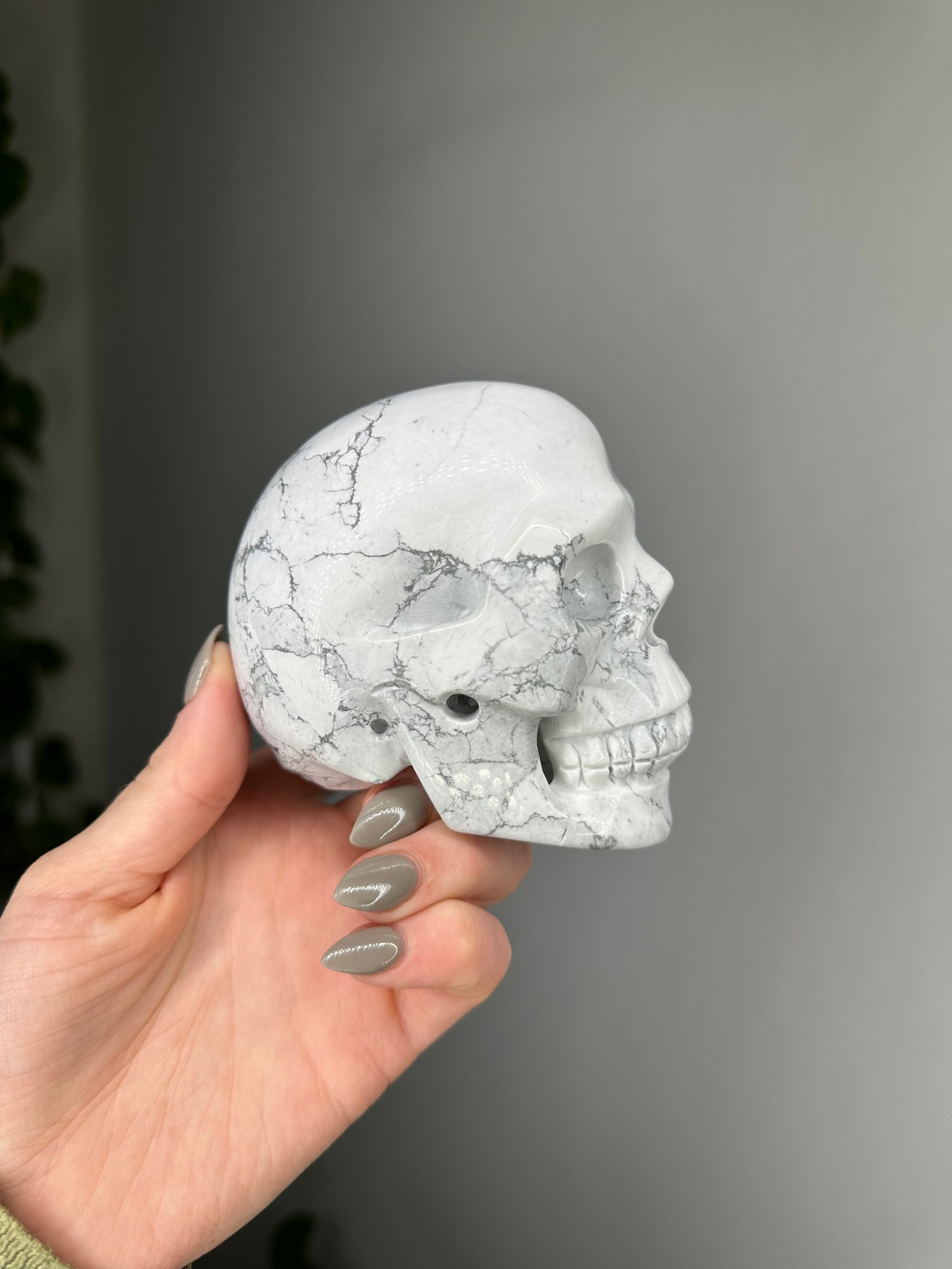 Howlite Skull