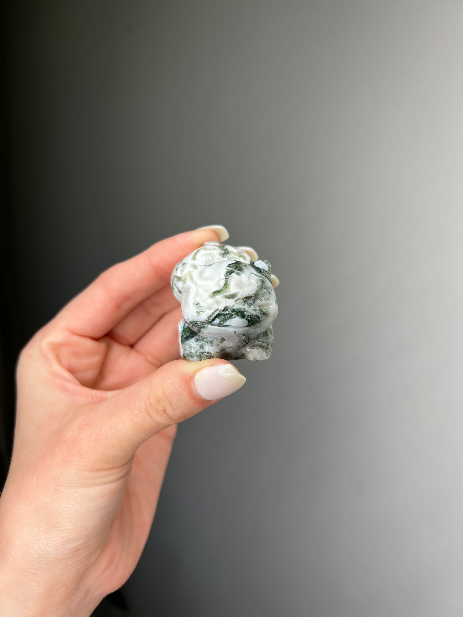 Moss Agate Bulbasaur