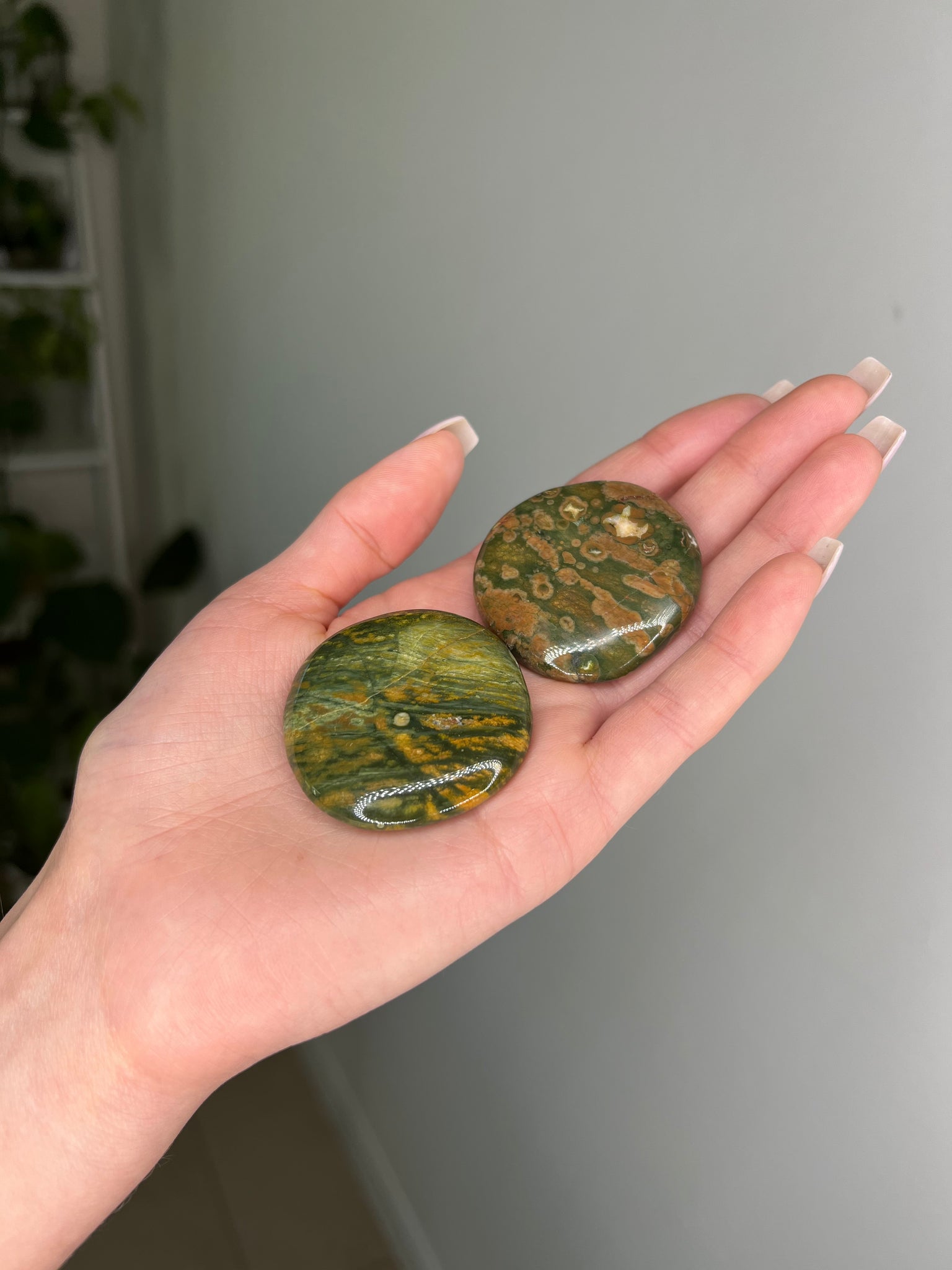 Rainforest Jasper Coin - Addon