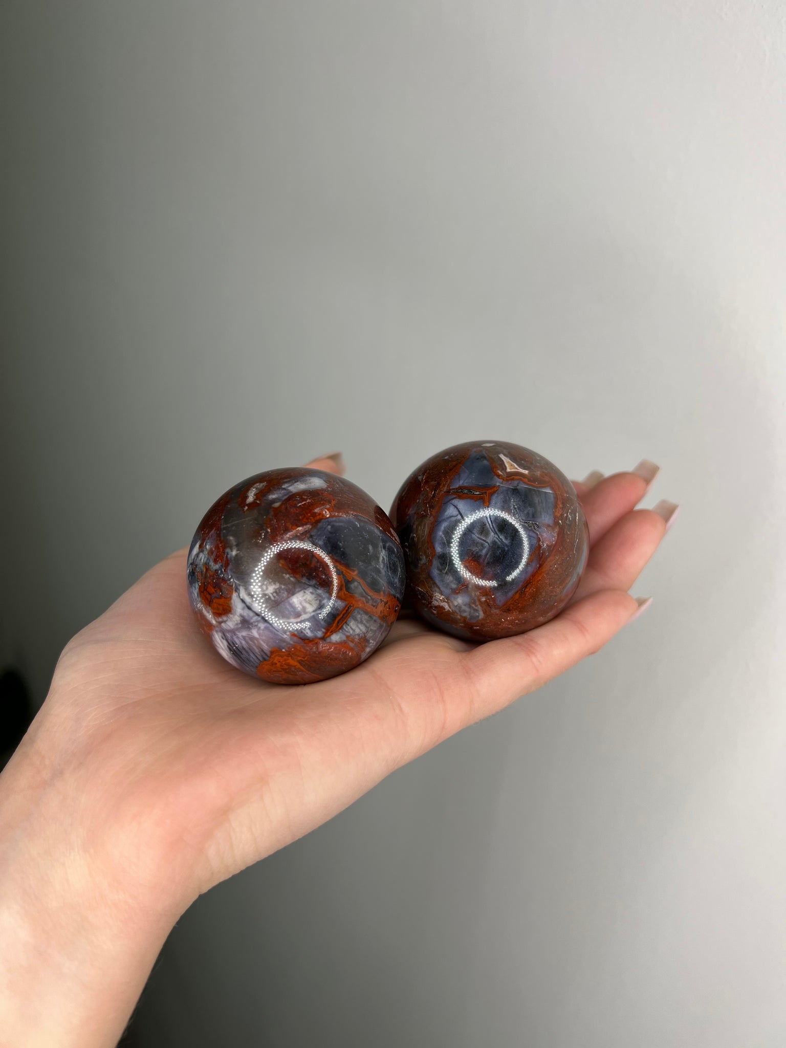 Petrified Wood w/ Chalcedony Sphere