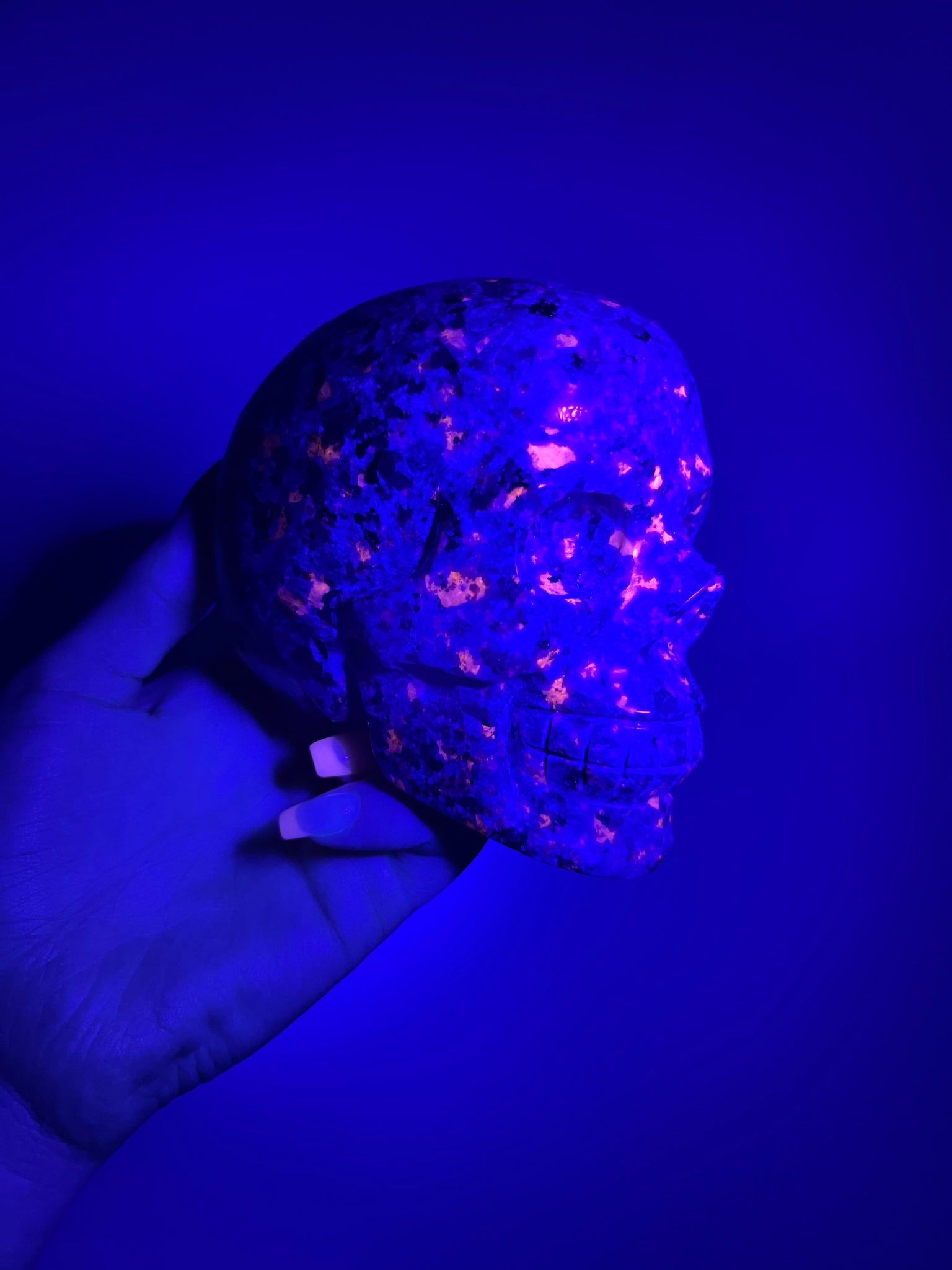 UV Reactive Yooperlite Skull