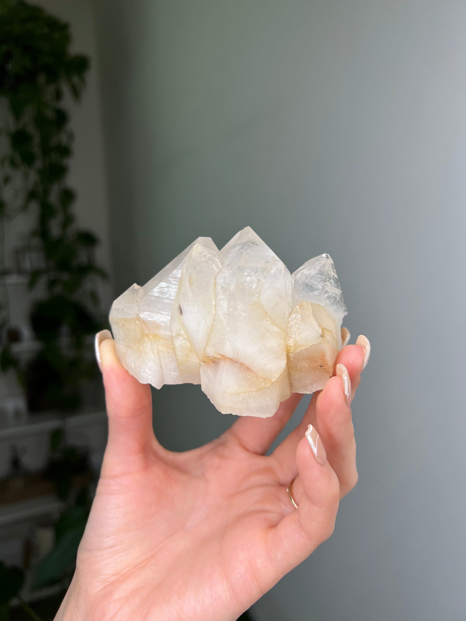 Himalayan Quartz Cluster