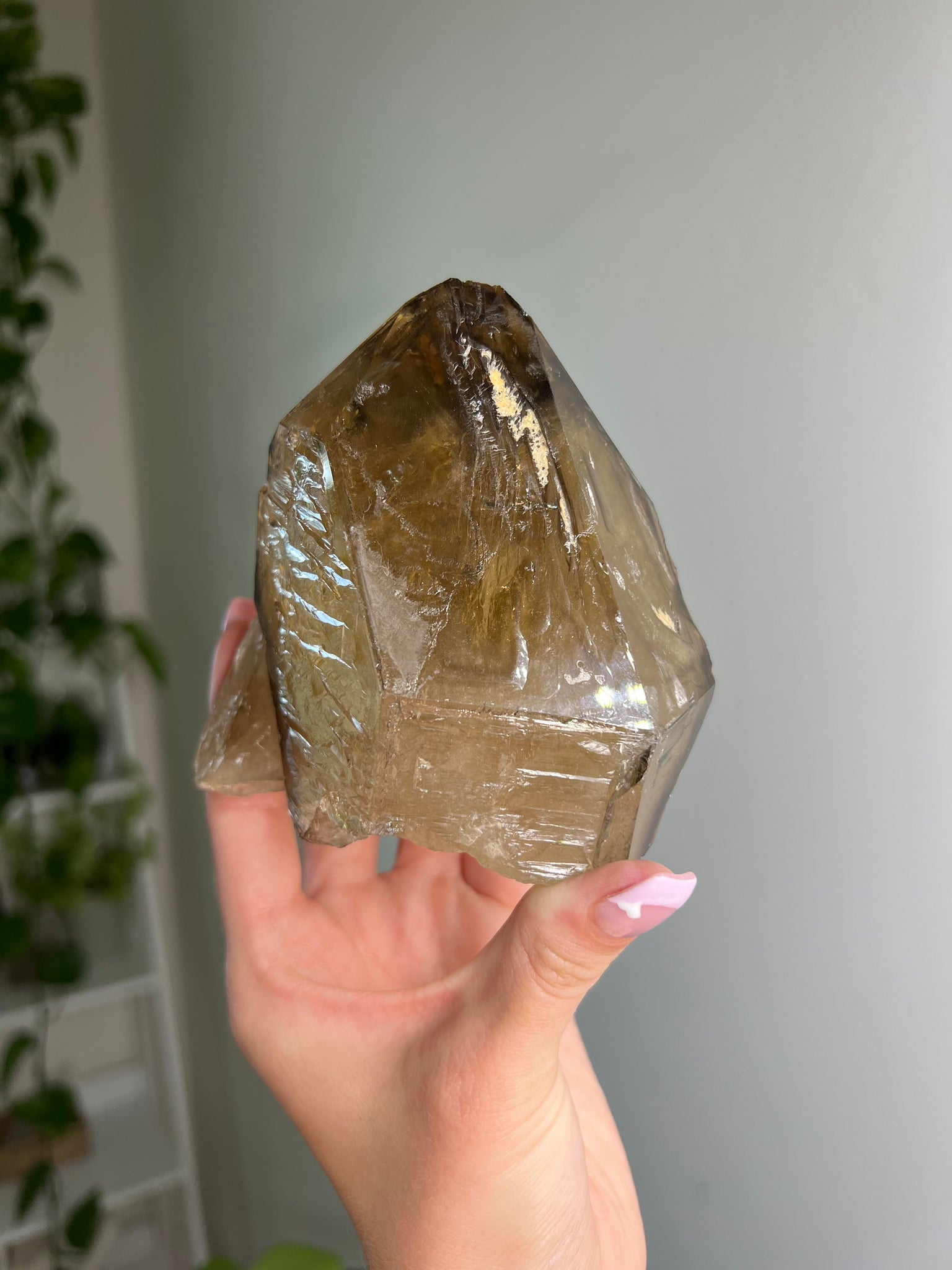 Natural Citrine Skeletal Elestial Quartz