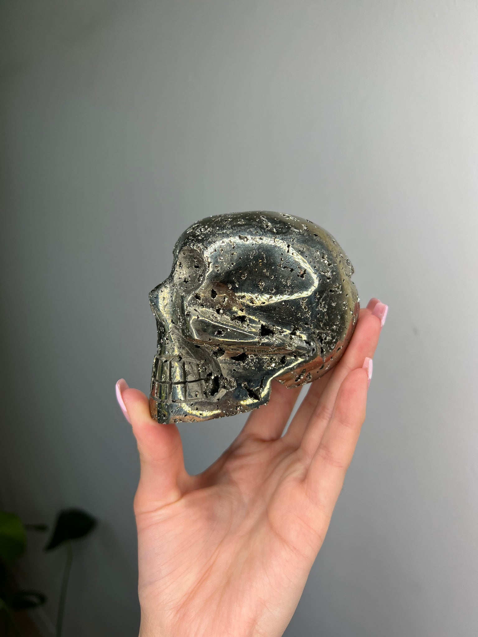 Pyrite Skull