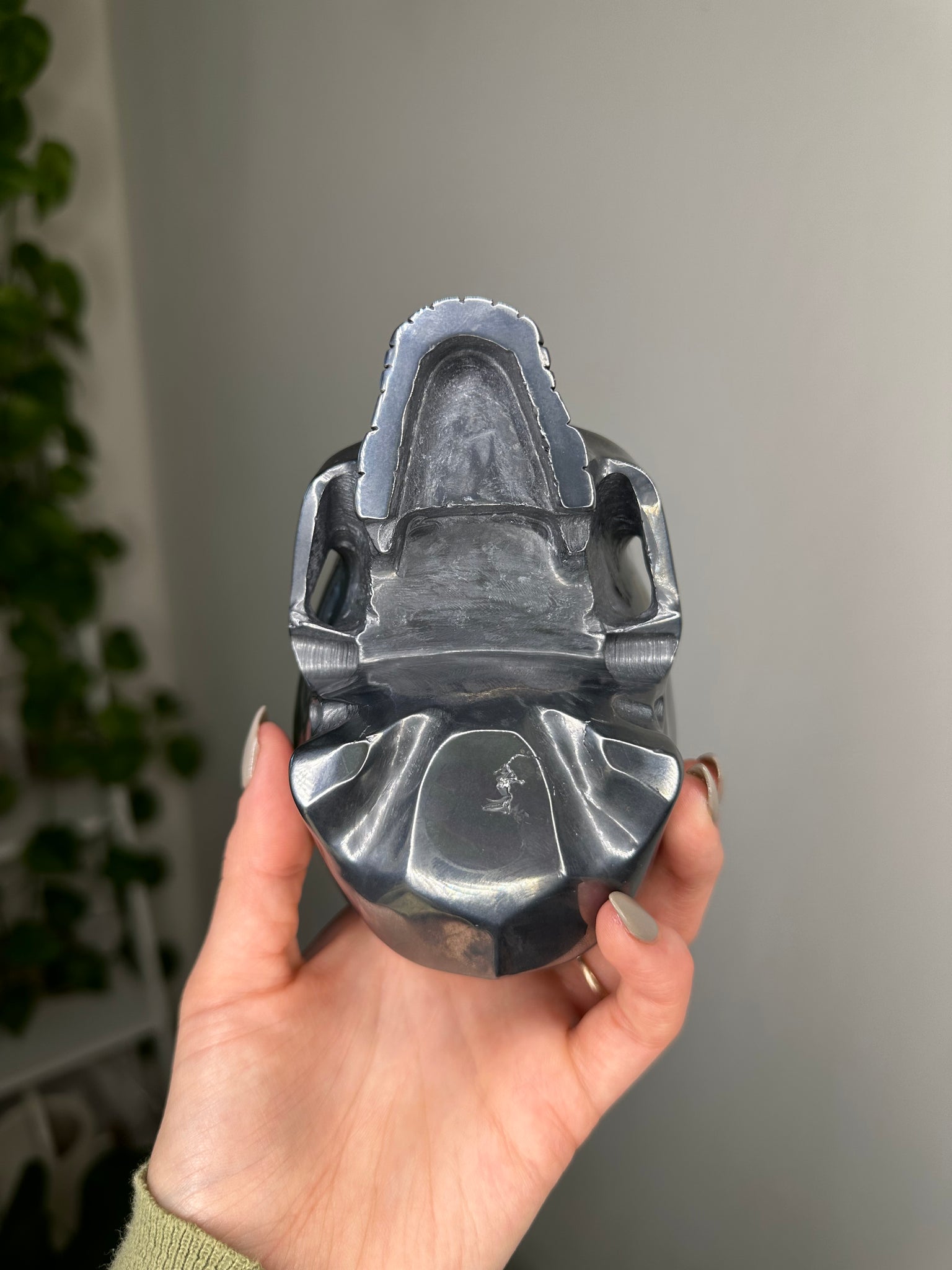 Terahertz Jawless Skull