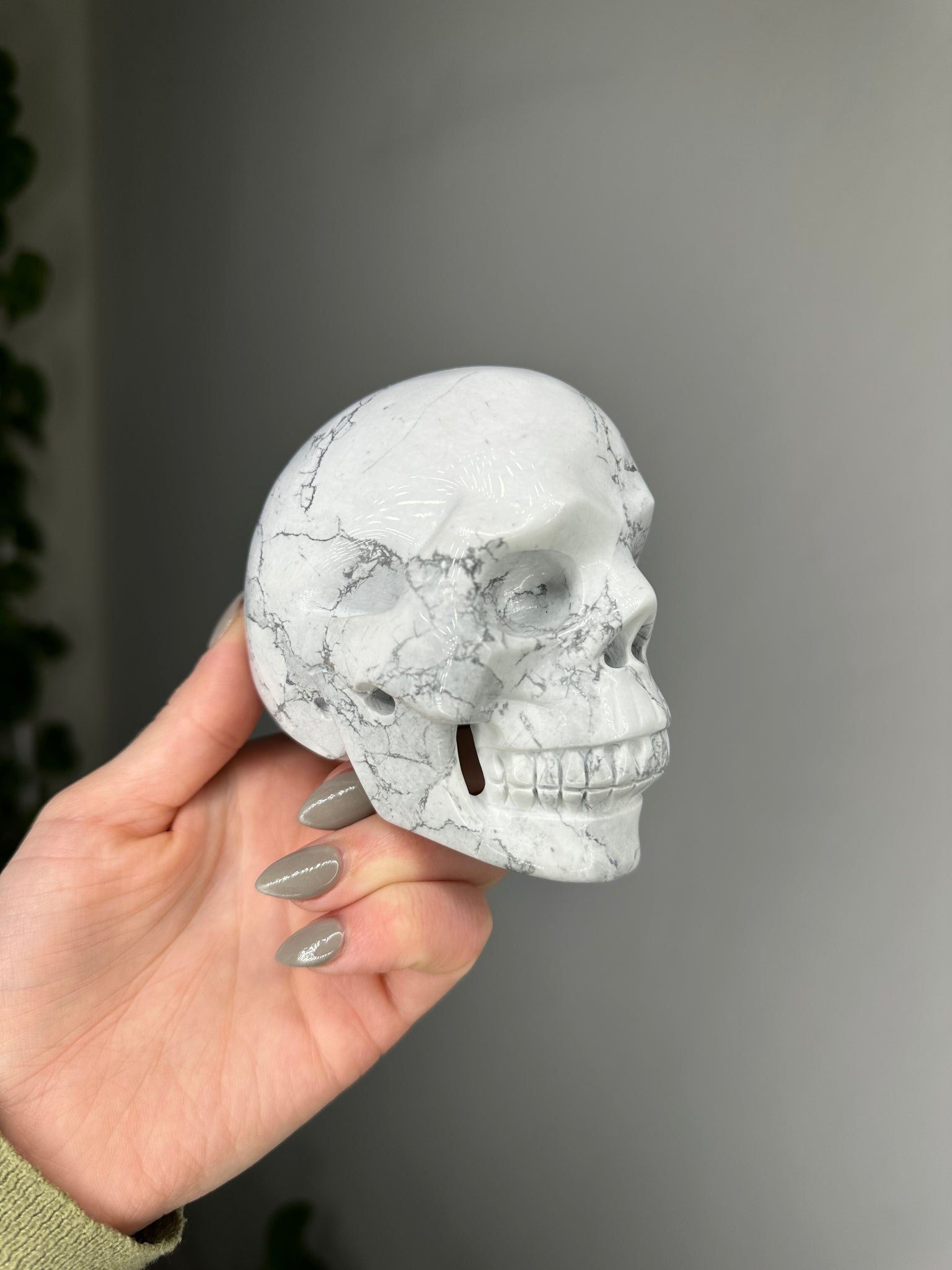 Howlite Skull