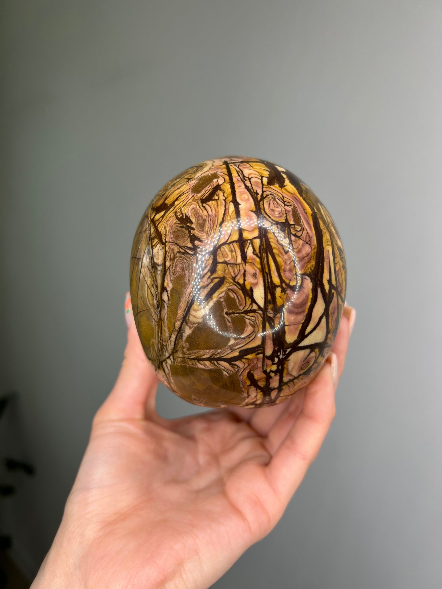 Petrified Wood Skull