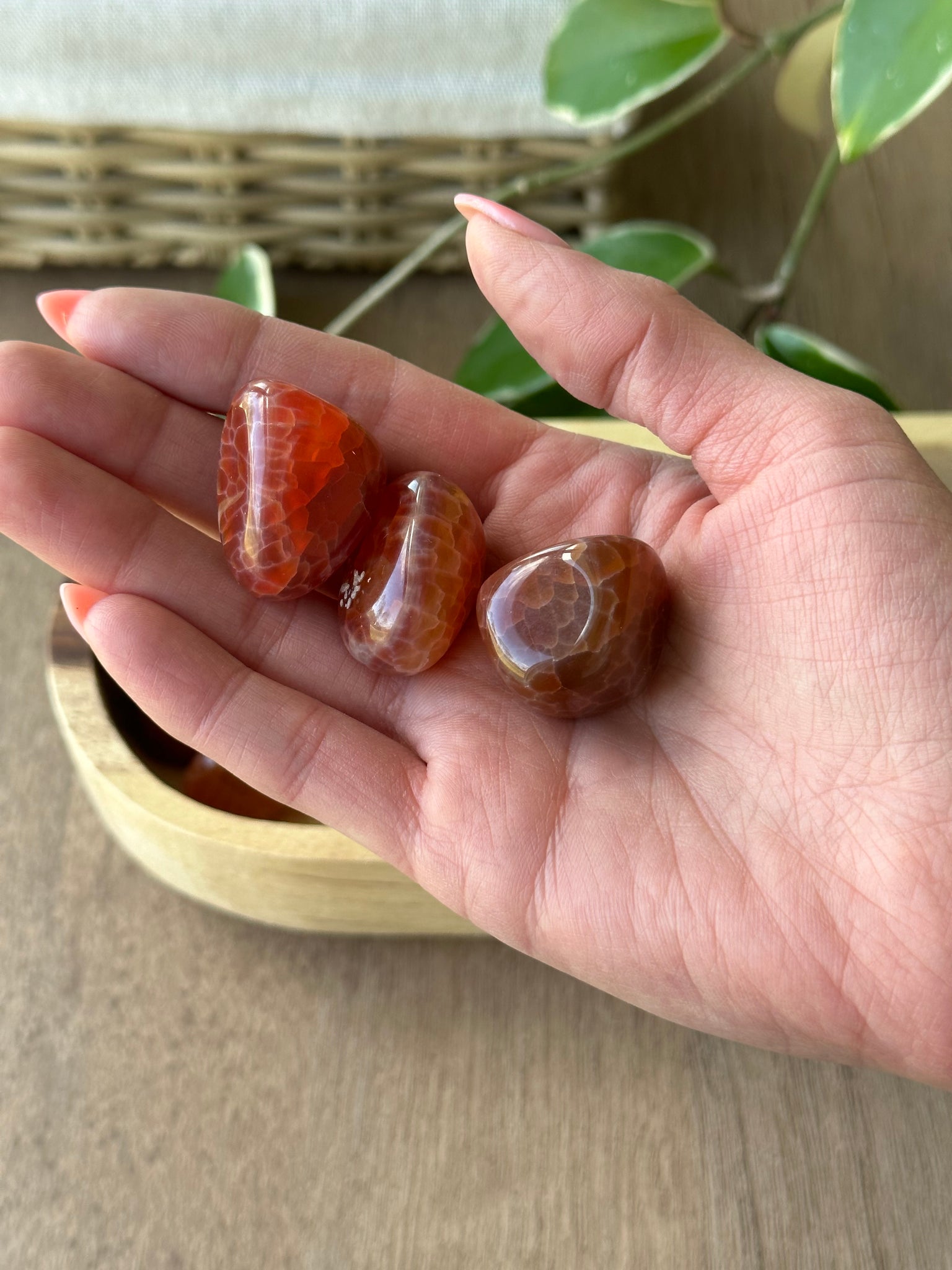 Fire Agate Tumble - Add-On