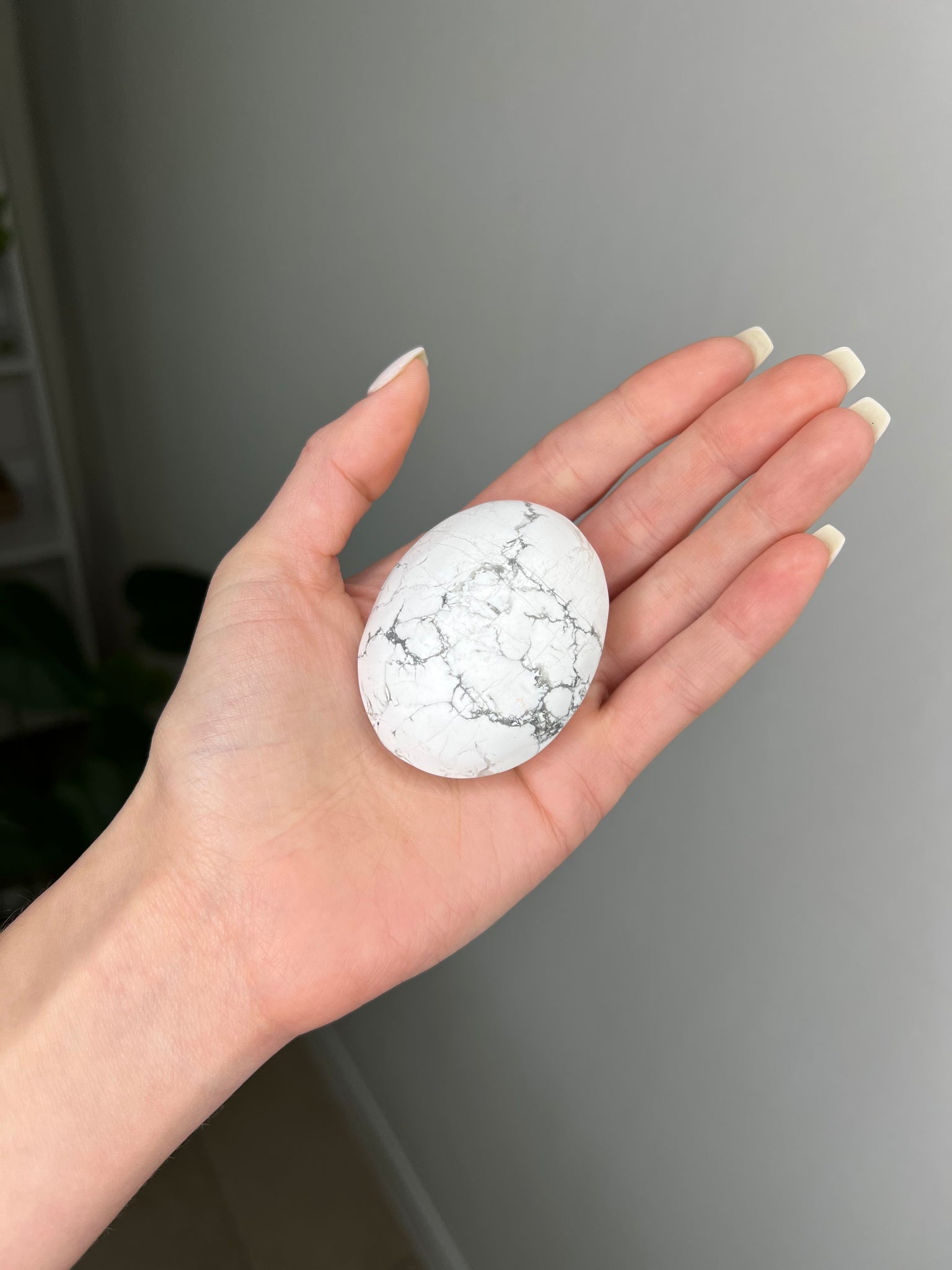 Howlite Palmstone