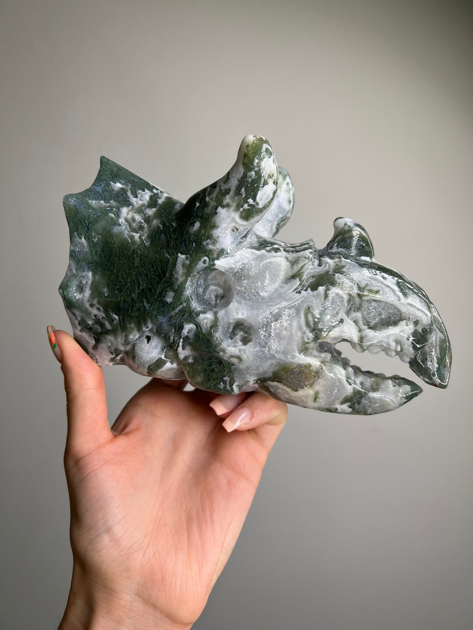 Moss Agate Triceratops Skull