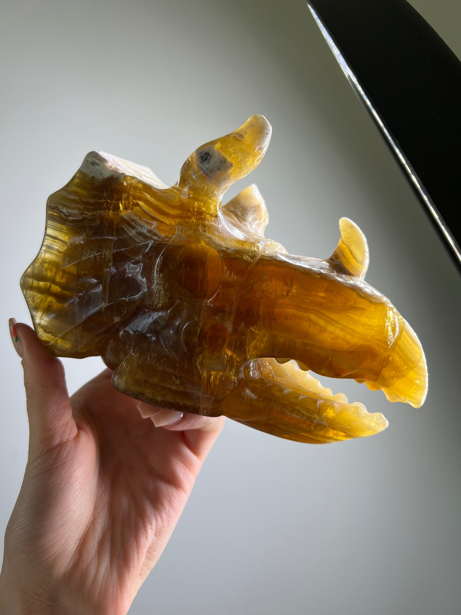 Yellow Fluorite Triceratops Skull