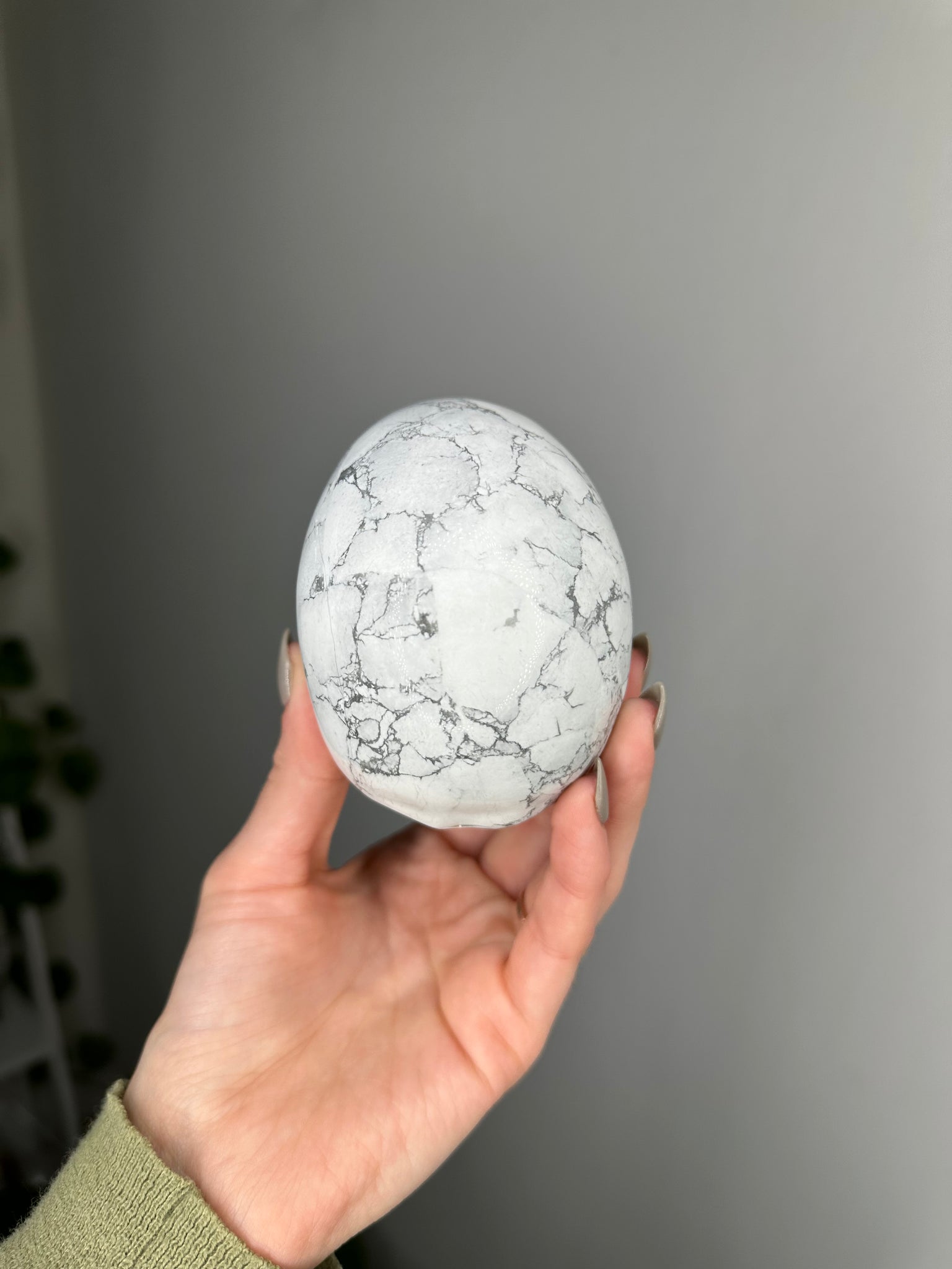 Howlite Skull