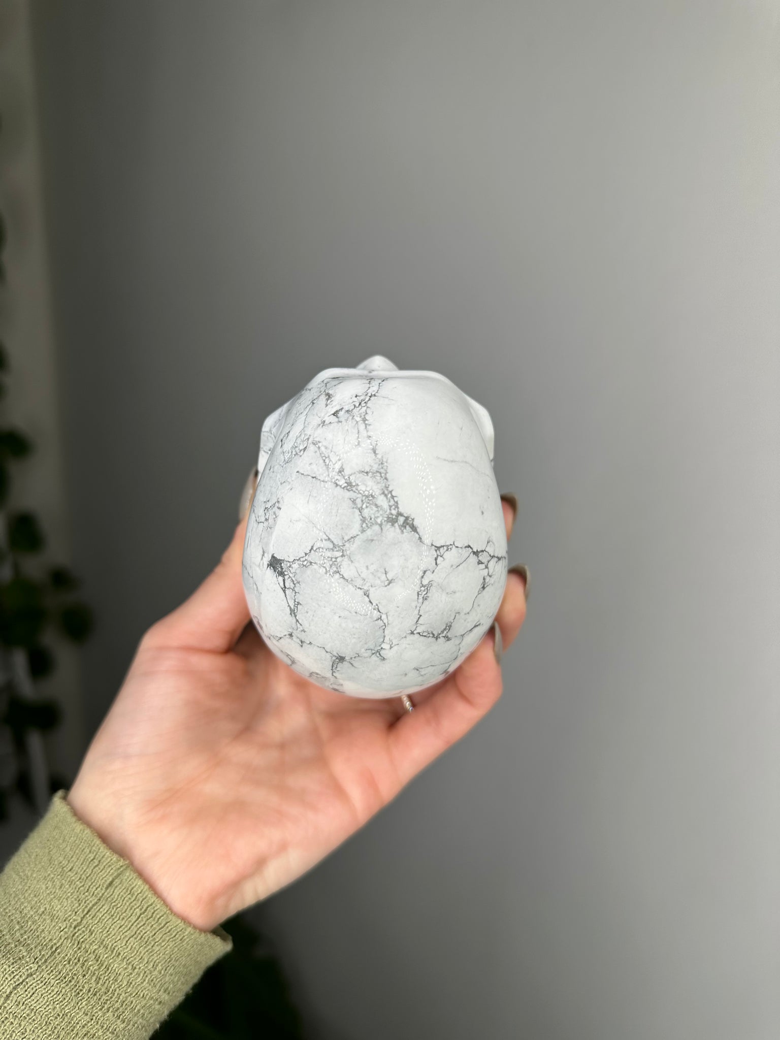 Howlite Skull