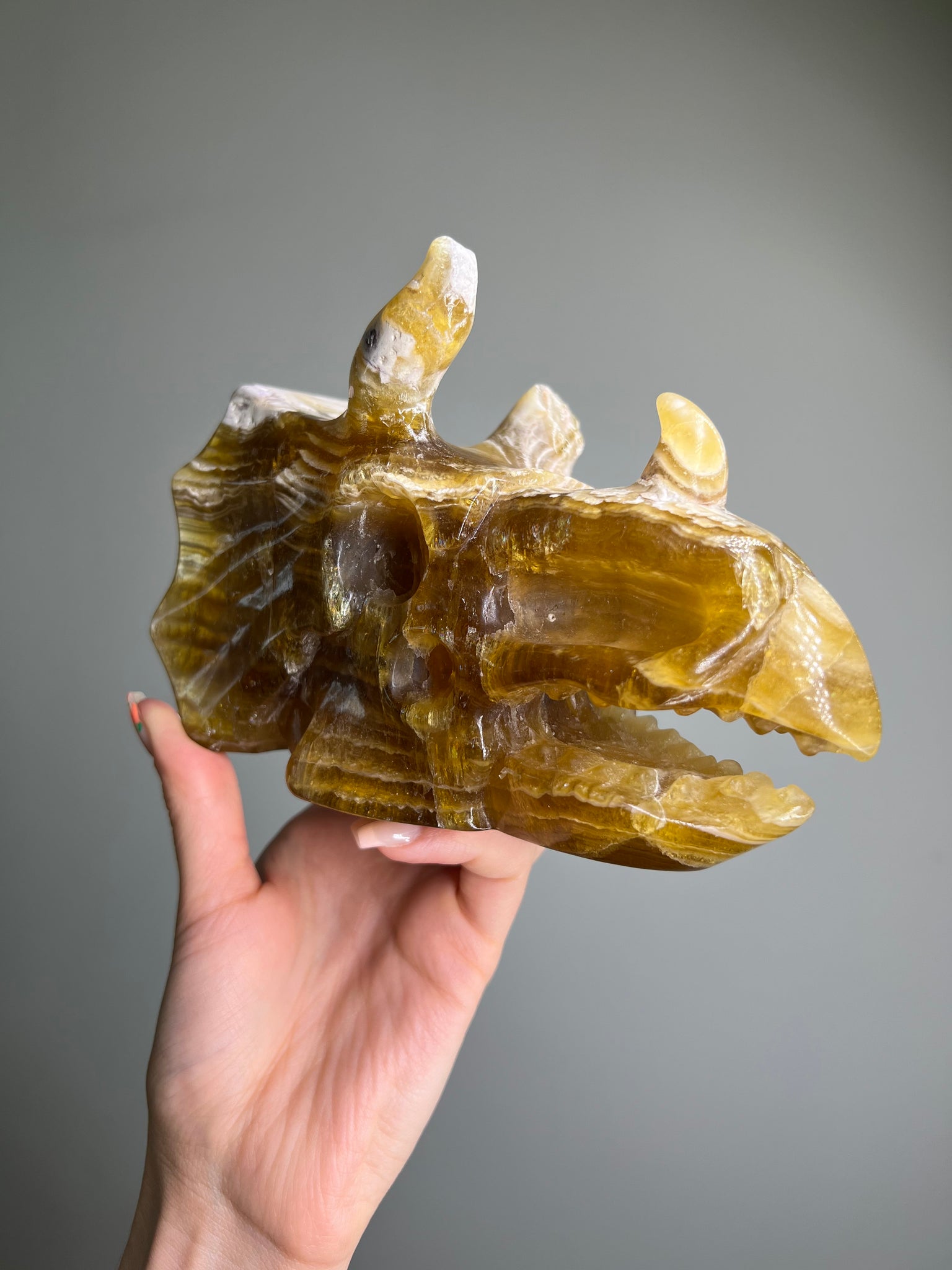 Yellow Fluorite Triceratops Skull