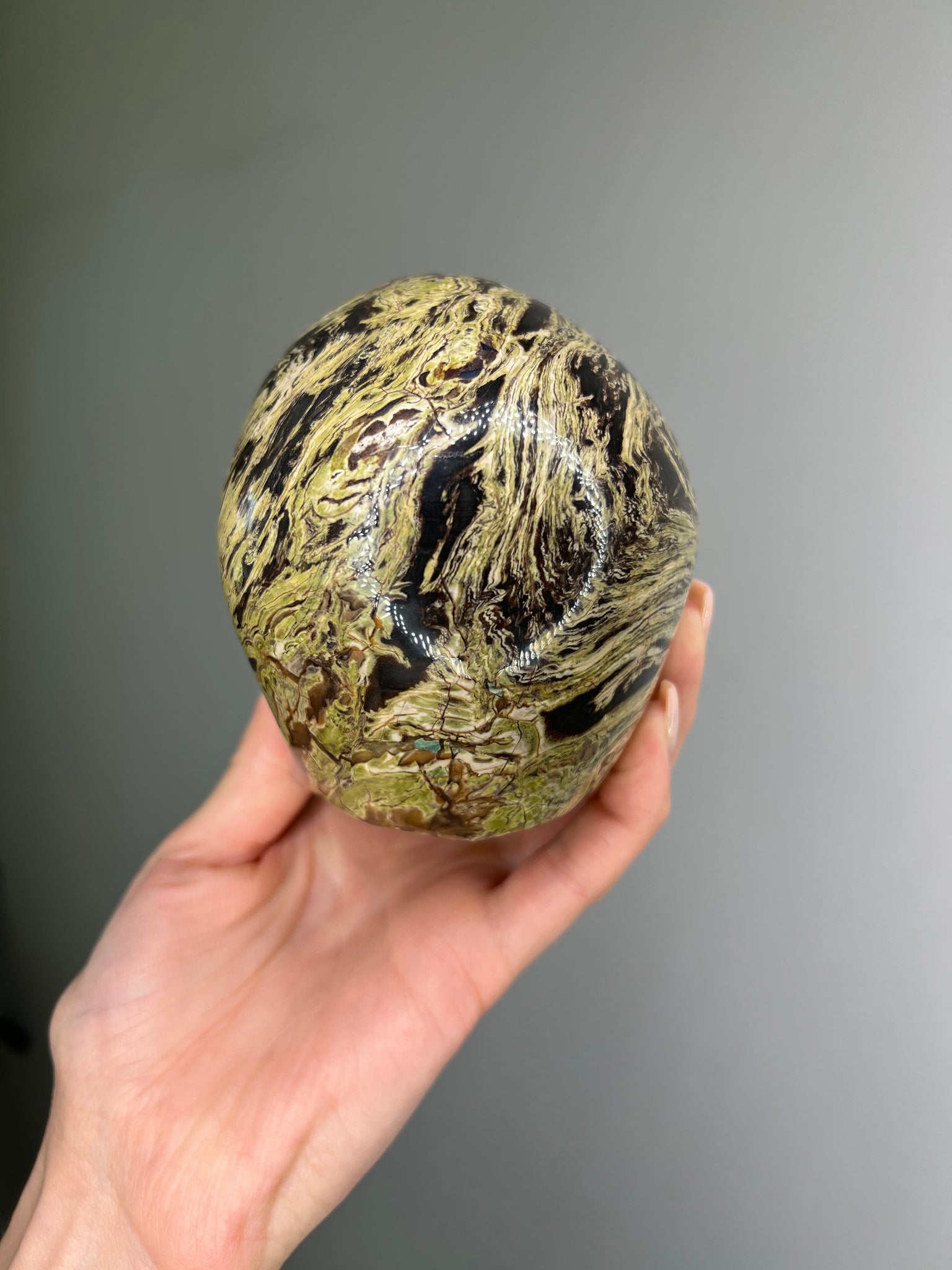 Petrified Wood Skull