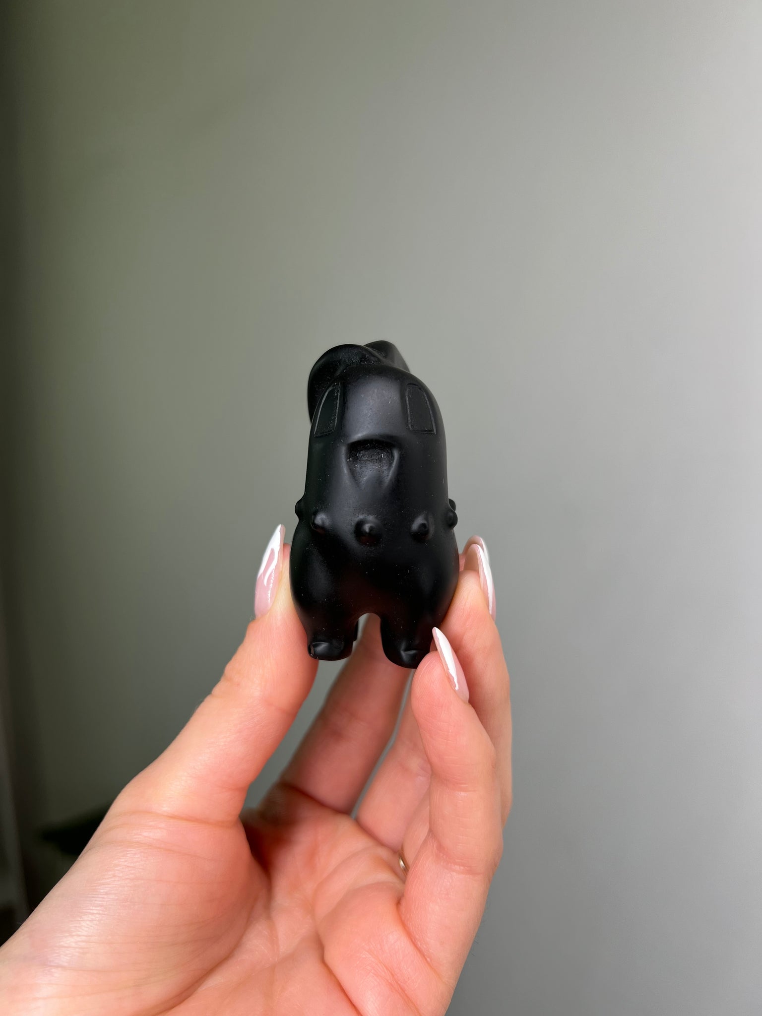 Obsidian Chikorita