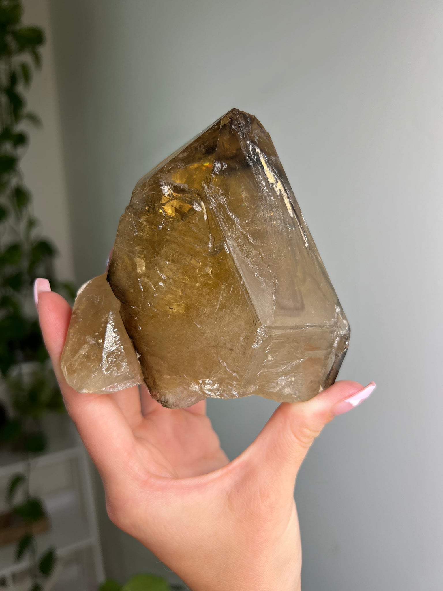 Natural Citrine Skeletal Elestial Quartz
