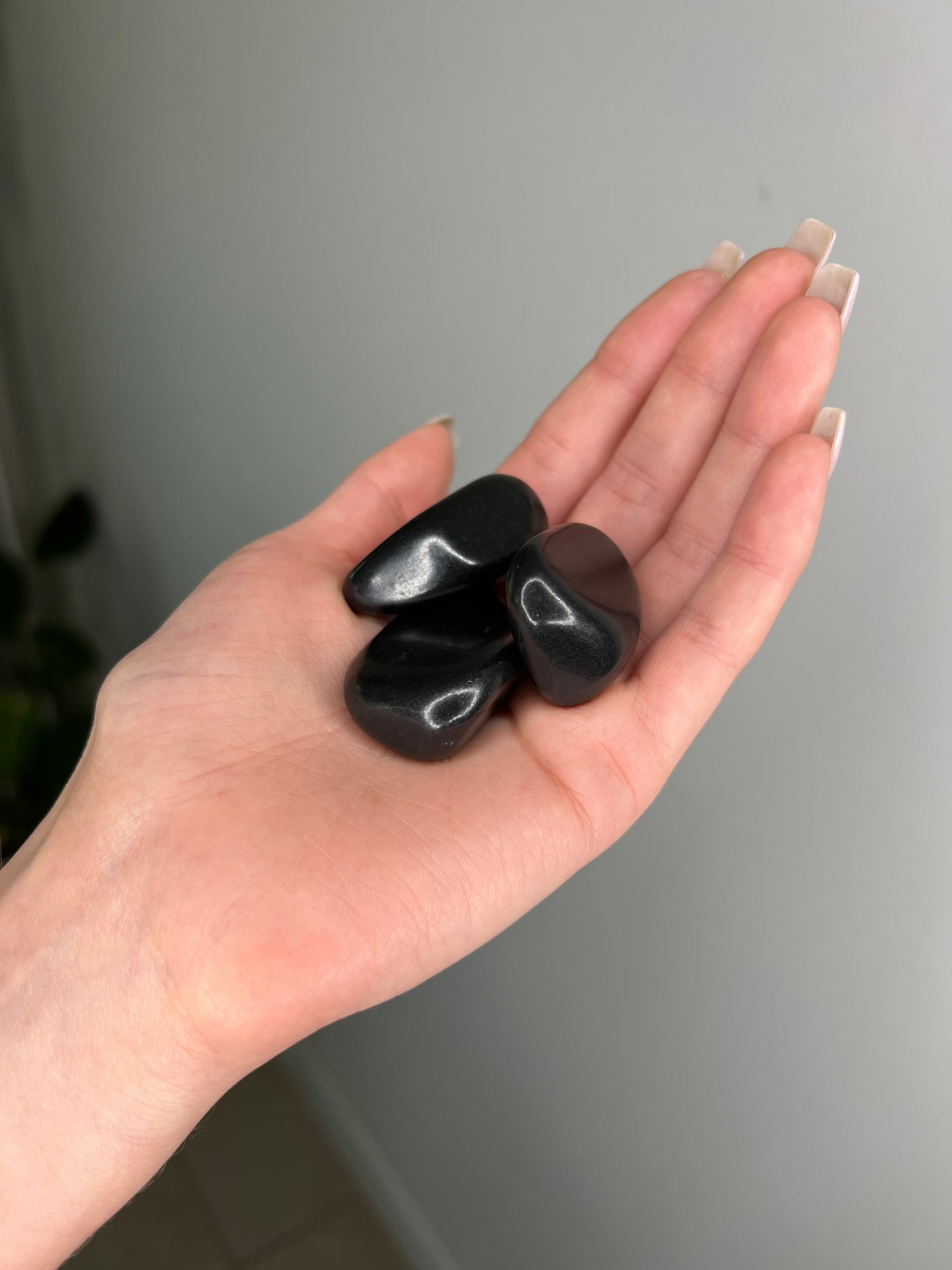 Shungite Tumble