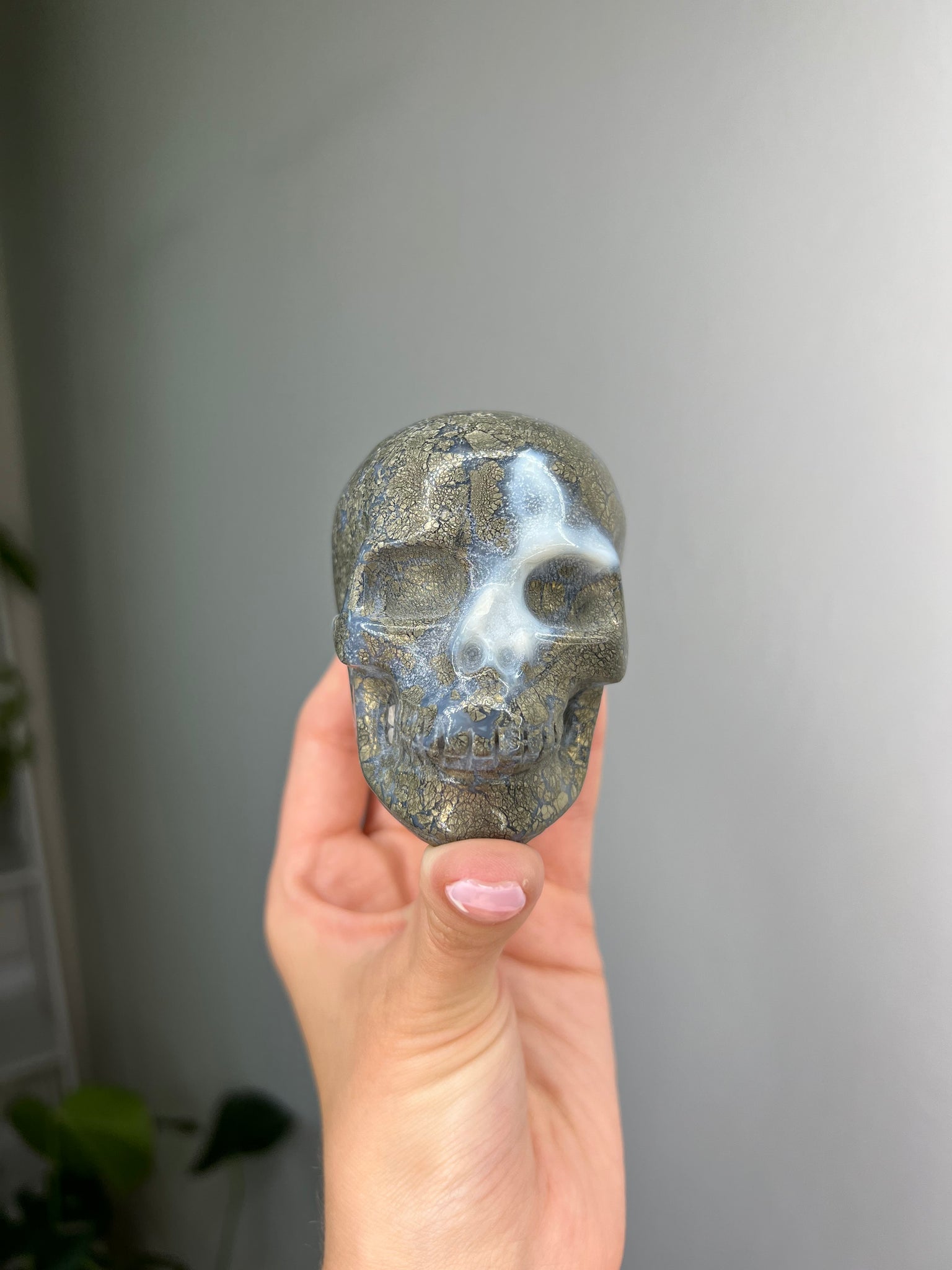 Agate w/ Pyrite Skull