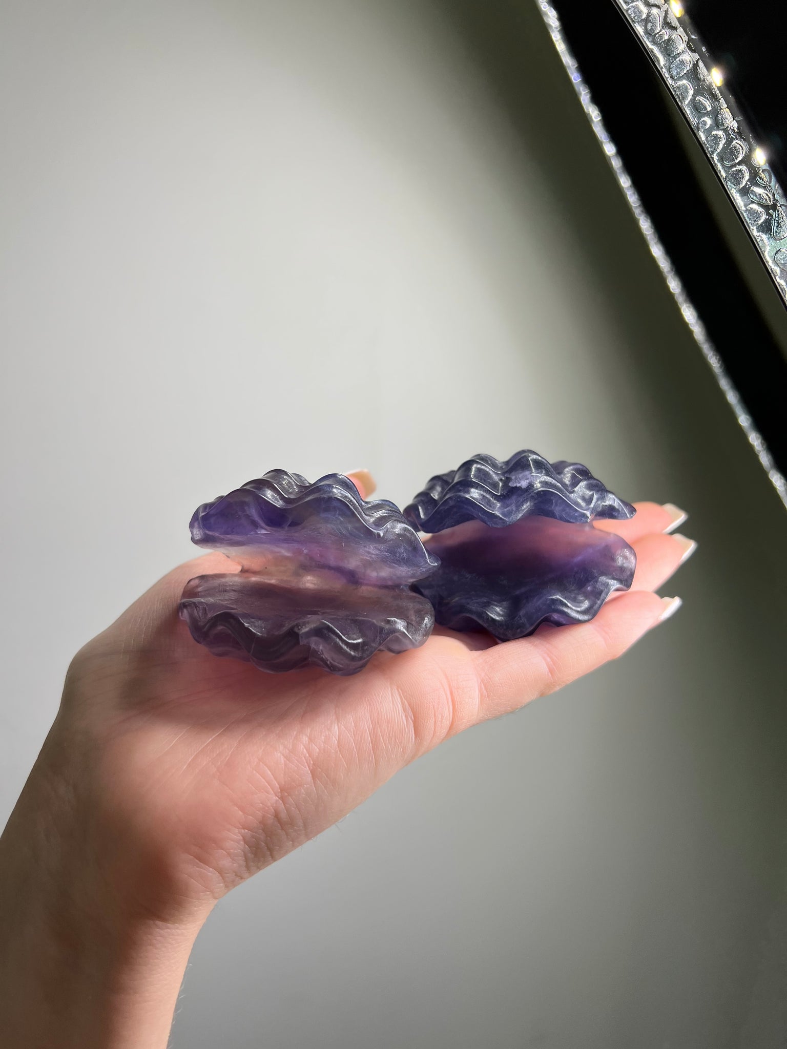 Fluorite Seashell