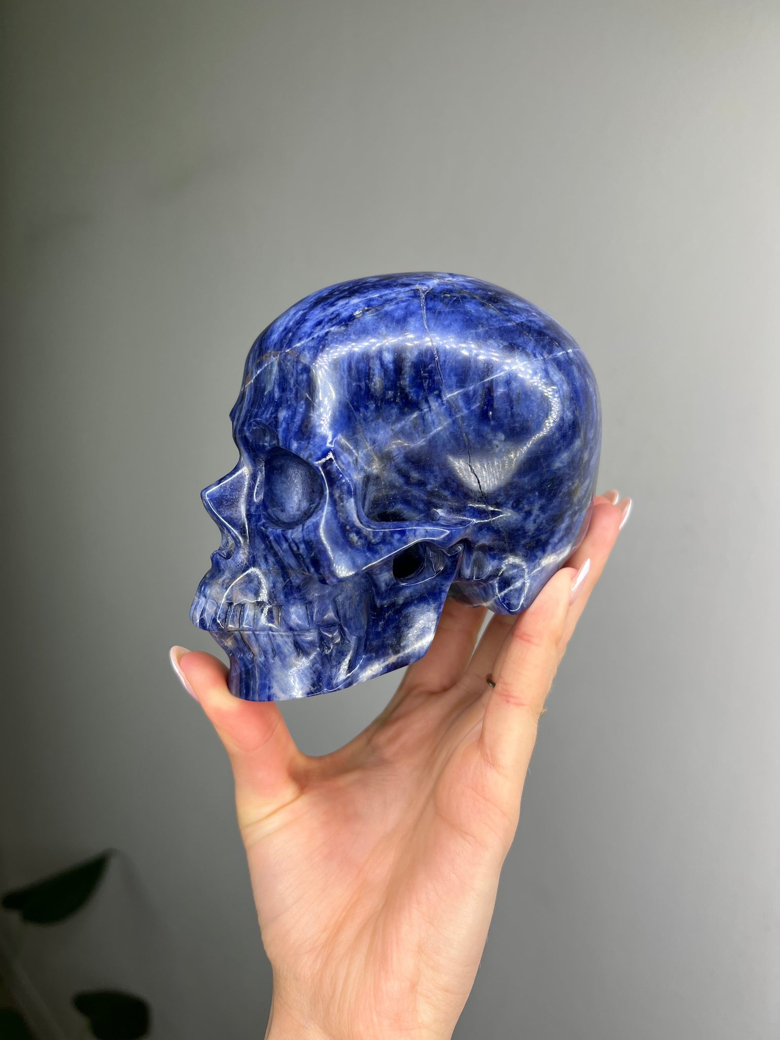 Sodalite Skull