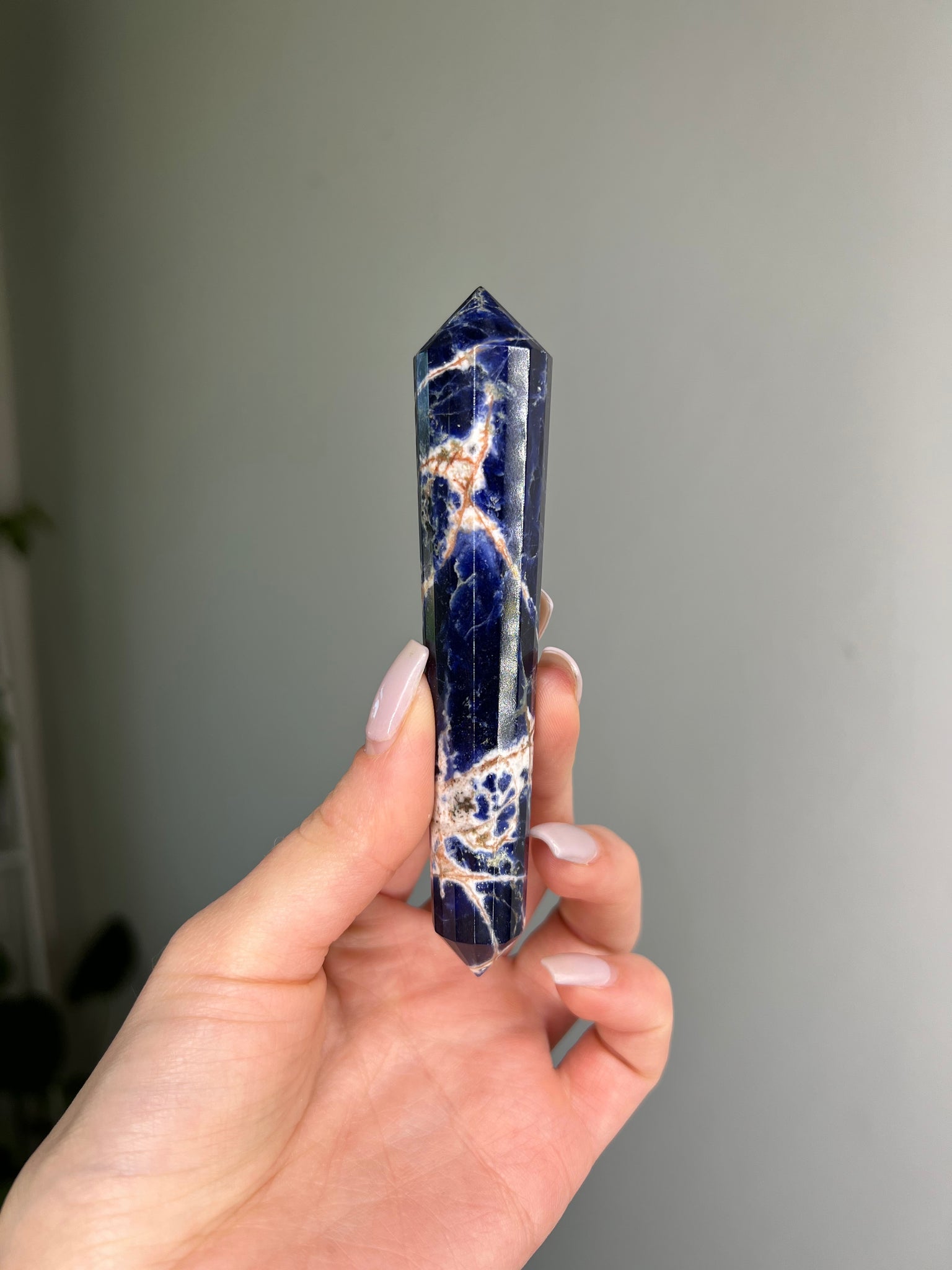 Sodalite Vogel Wand